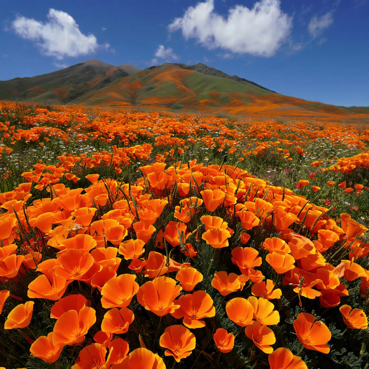 Lancaster, California landscape and real estate